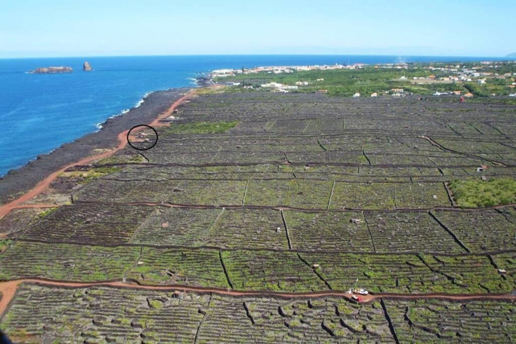 Ocean View In Unesco Heritage Site Criacao Velha Экстерьер фото